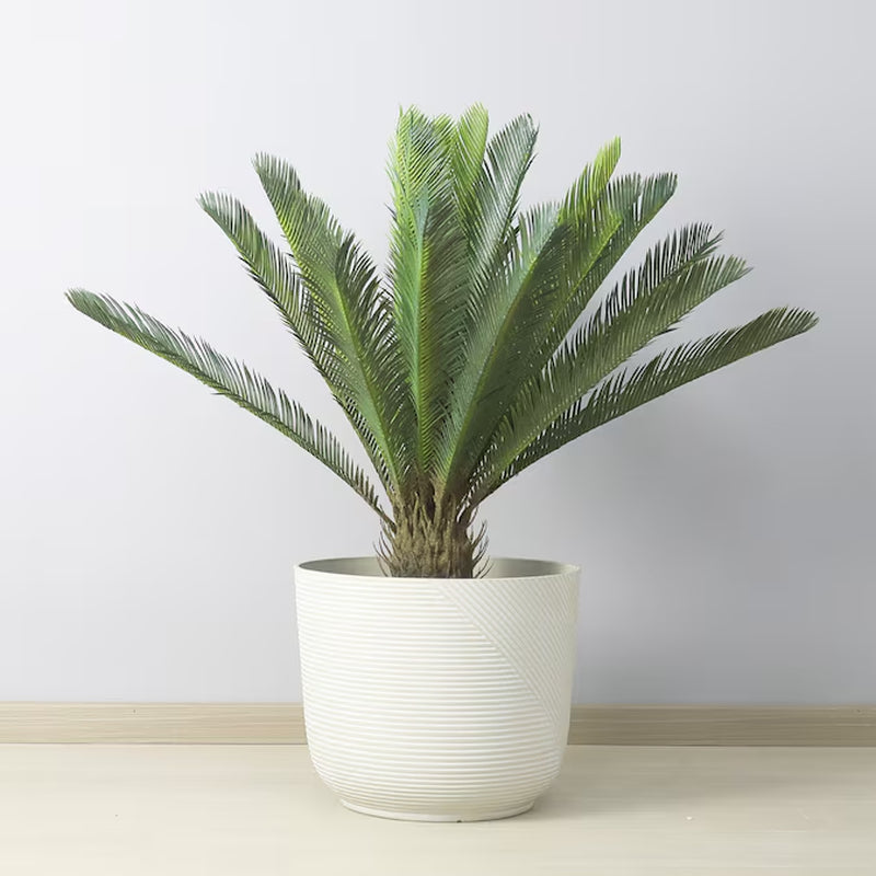 round 15.16-In W X 15.16-In L White Resin Indoor/Outdoor Planter